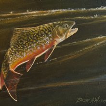 Sail Boats - Brook Trout | Acrylic | 6 x 8 - SOLD